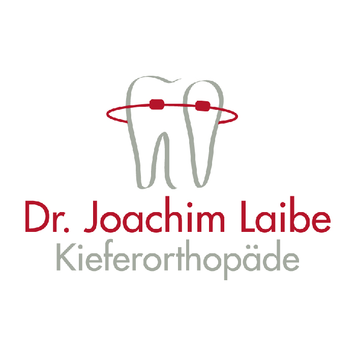 Logo und Visitenkarten für Dr. Laibe aus Speyer